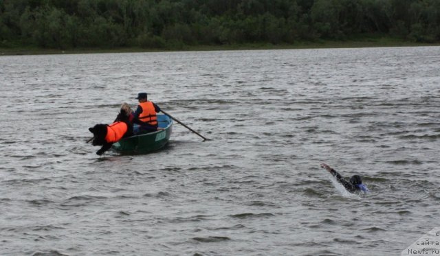 Фотография № 97698