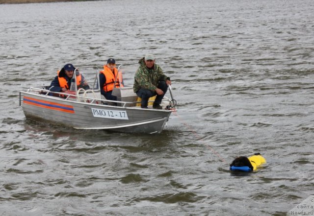 Фотография № 97699