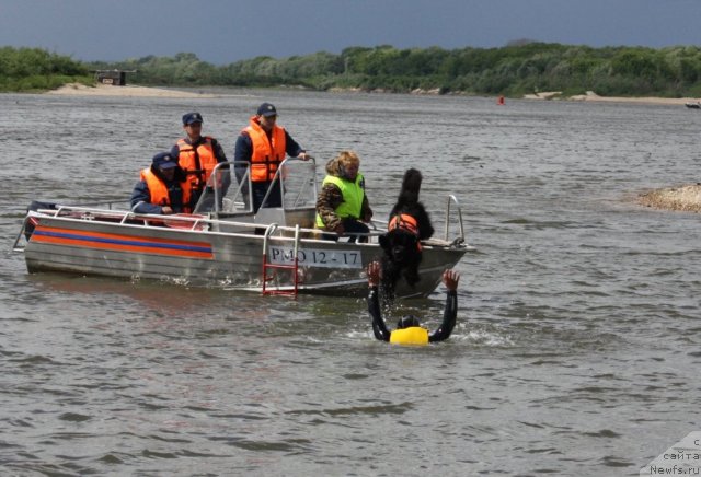 Фотография № 97702