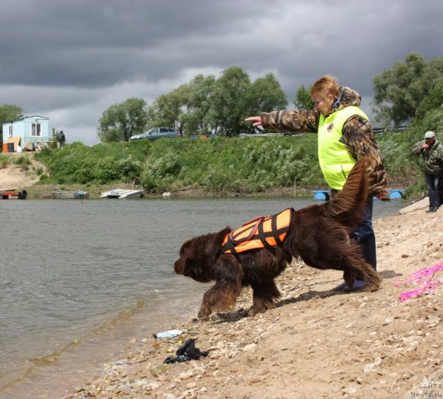 Фотография № 97703