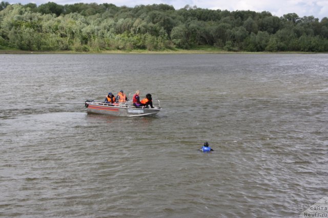 Фотография № 97704