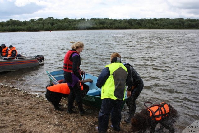 Фотография № 97706