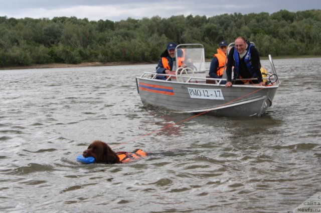 Фотография № 97714