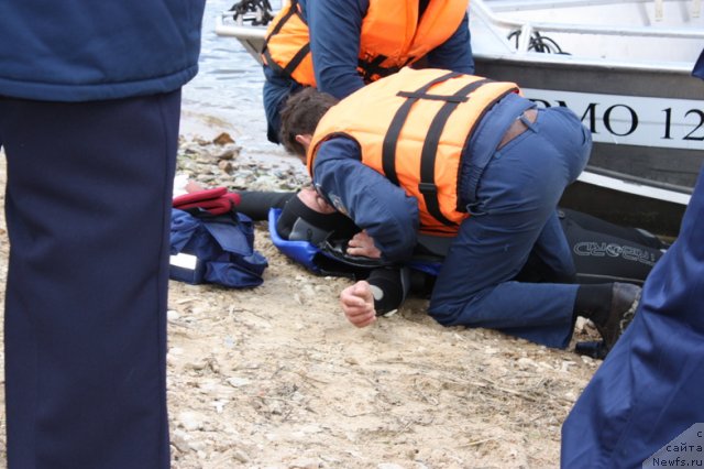 Фотография № 97717