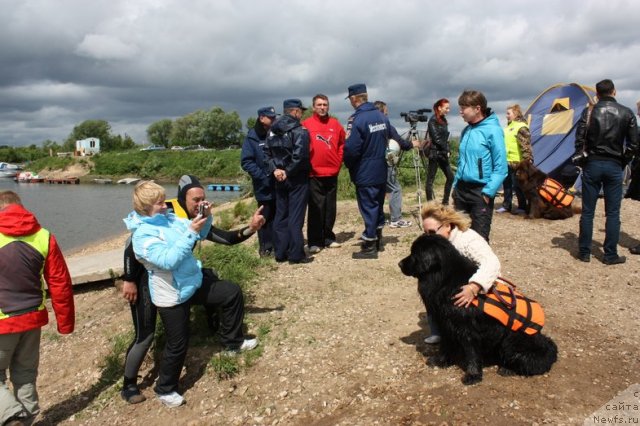 Фотография № 97719