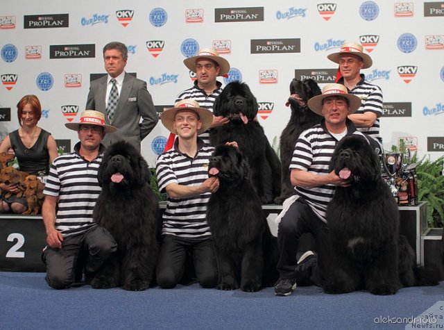 Фотография № 97728