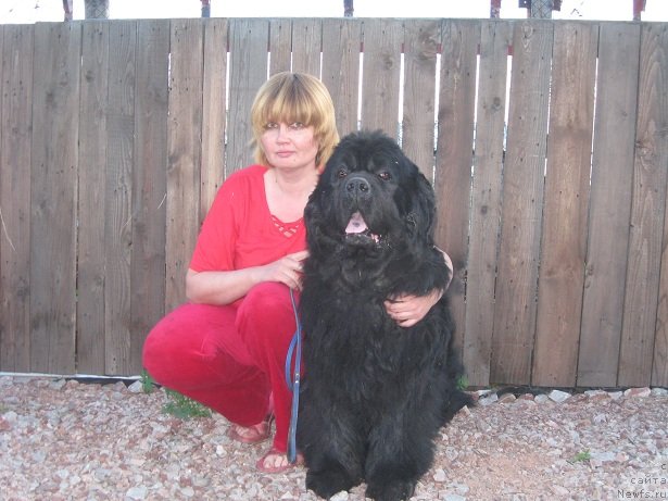 Фотография № 97735