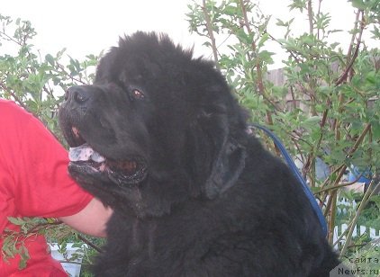 Фотография № 97737