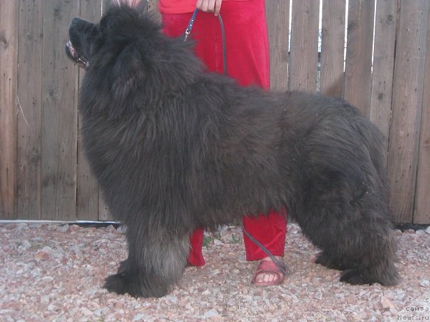 Фотография № 97741