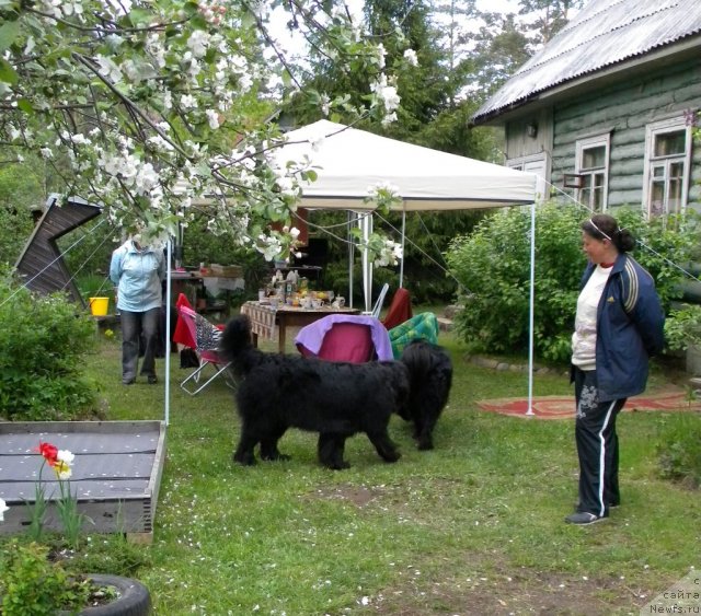 Фото: Anna Kovalyova (Анна Ковалёва)