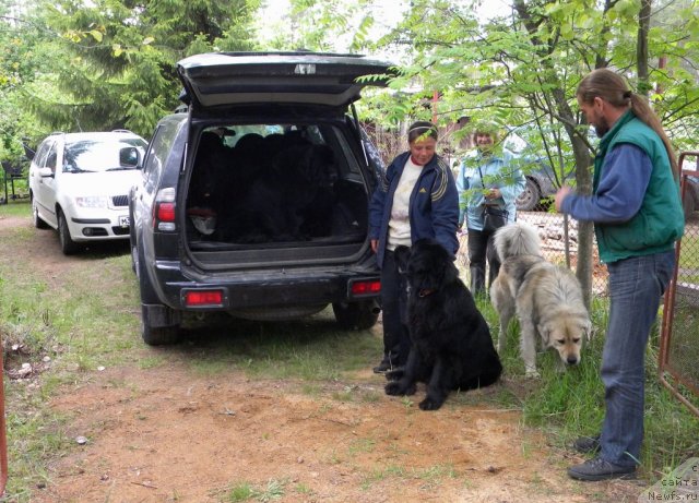 Фото: Anna Kovalyova (Анна Ковалёва), Aleksandr Jakov (Александр Жаков)