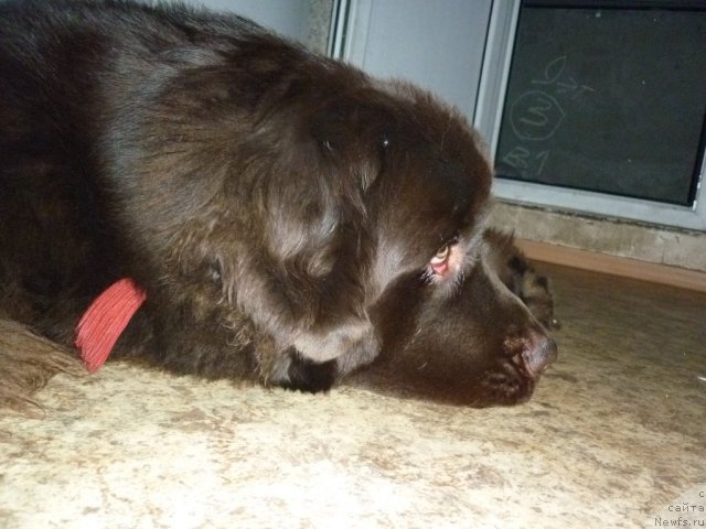 Фотография № 97763