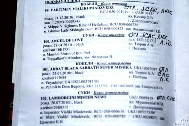 Фотография № 97765