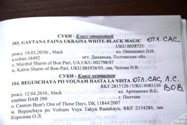 Фотография № 97766