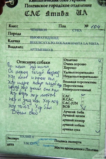 Фотография № 97773