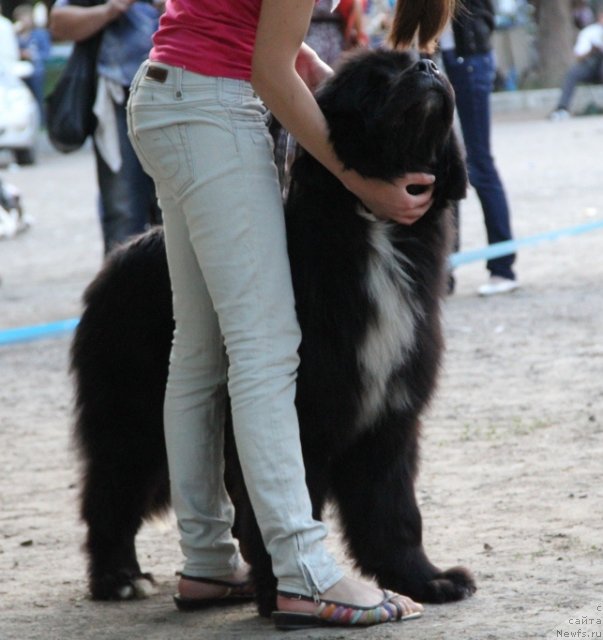 Фотография № 97794