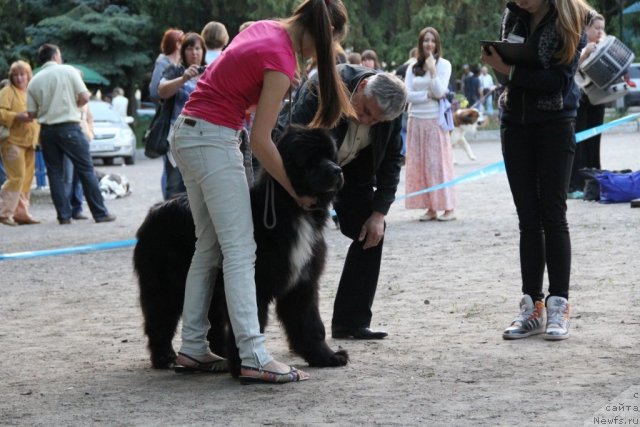 Фото: VARTIMEY VIALIKI MIADZVEDZ