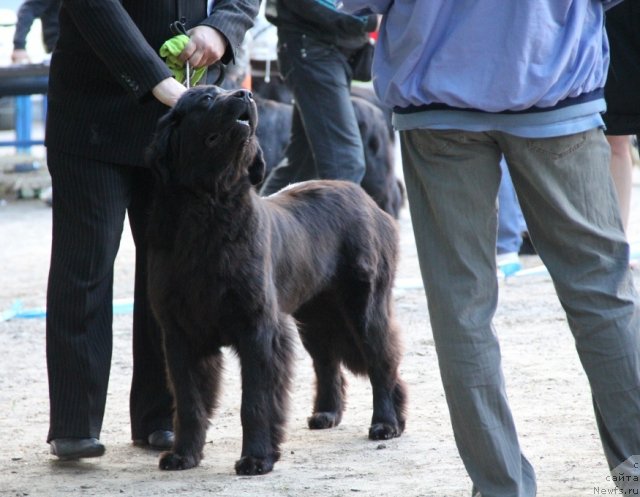 Фото: АNGEL ON LOVE