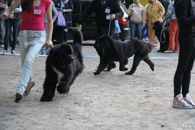 Фотография № 97800