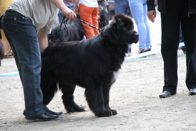 Фотография № 97809