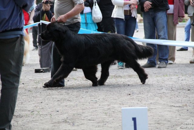 Фотография № 97810