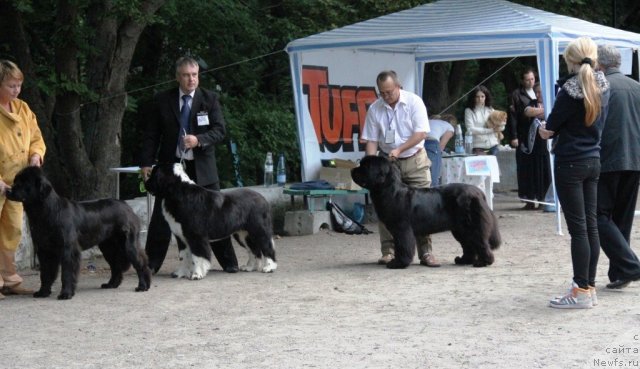 Фотография № 97836