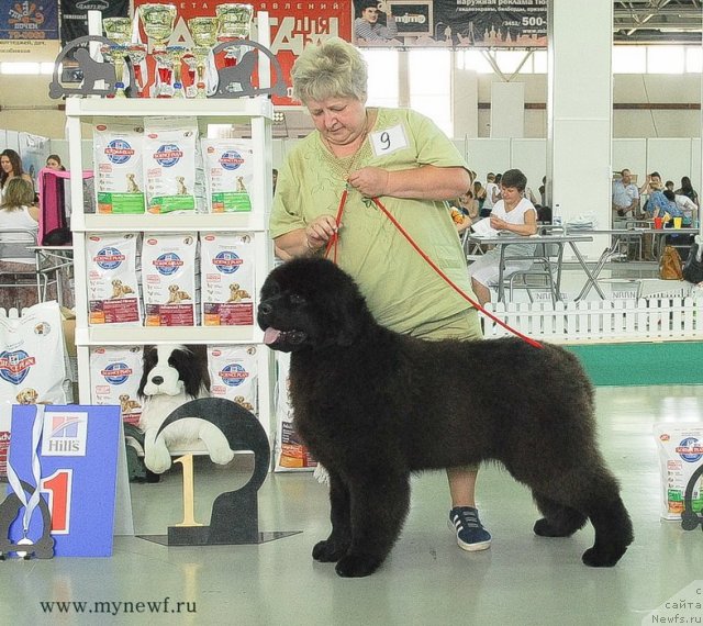 Фотография № 97863