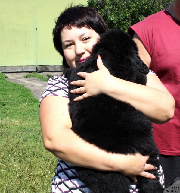 Фотография № 98021