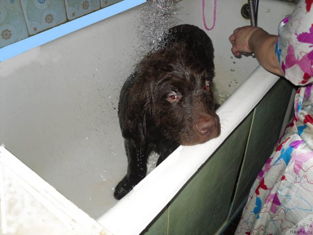 Фотография № 98032