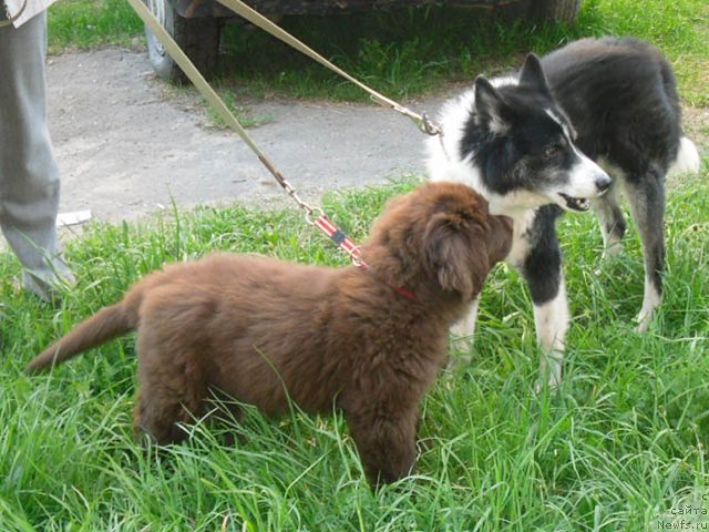 Фотография № 98037