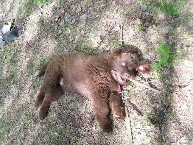 Фотография № 98038