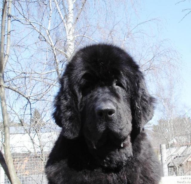 Фотография № 9810