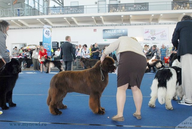 Фотография № 98117