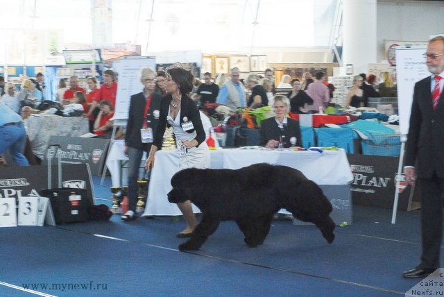 Фотография № 98121