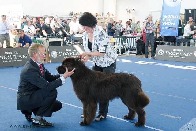 Фотография № 98124