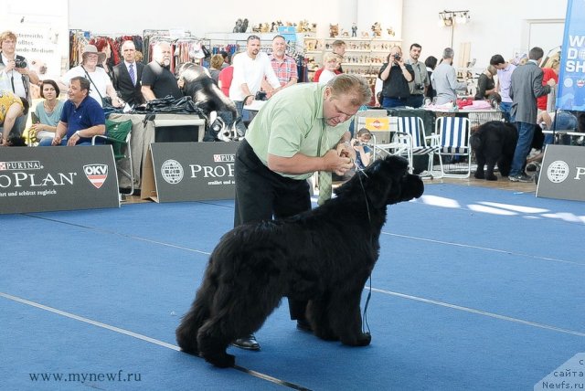 Фотография № 98125