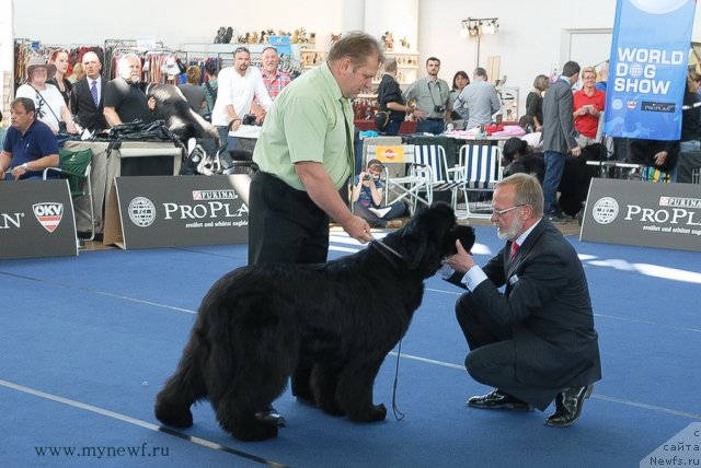 Фотография № 98126