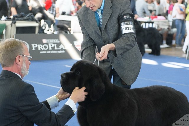 Фотография № 98128