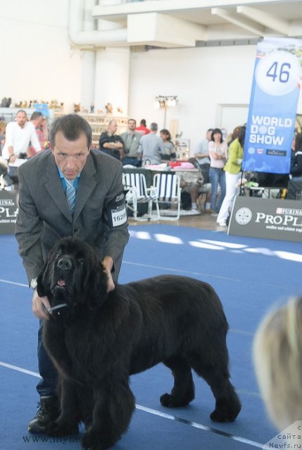 Фотография № 98130