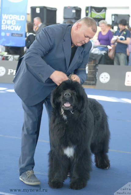 Фотография № 98132