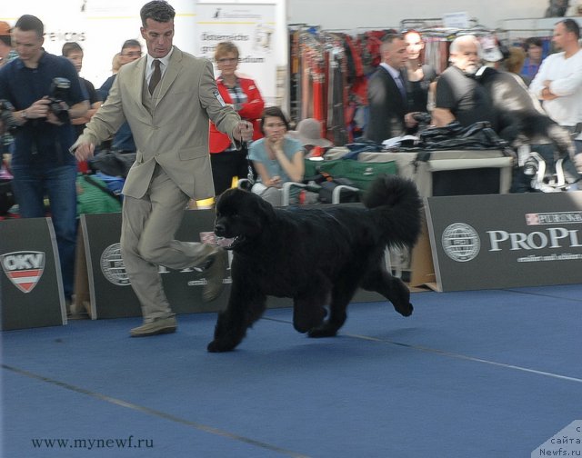 Фотография № 98136