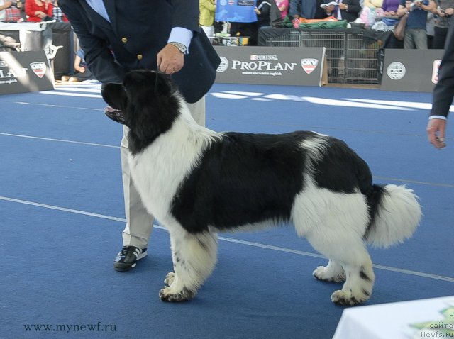 Фотография № 98139