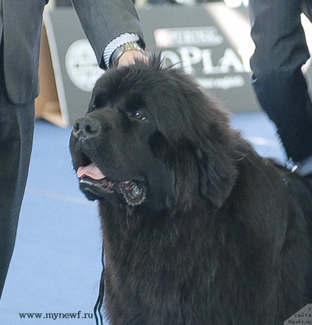 Фотография № 98144