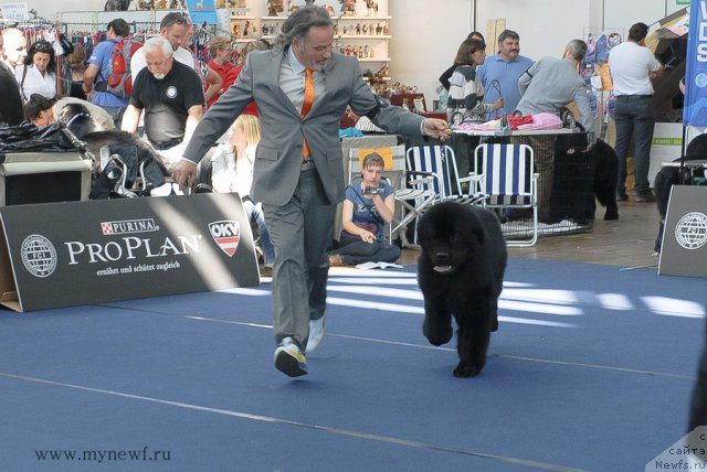 Фотография № 98145