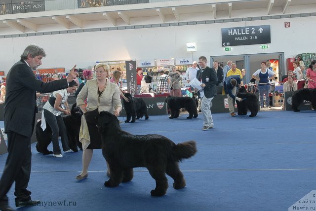 Фотография № 98149