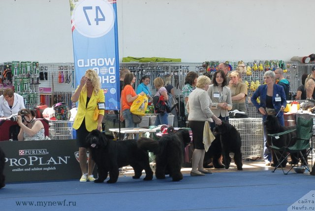 Фотография № 98150