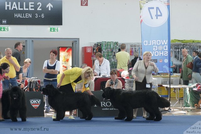 Фотография № 98152