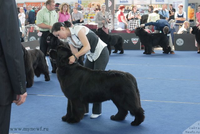 Фотография № 98155