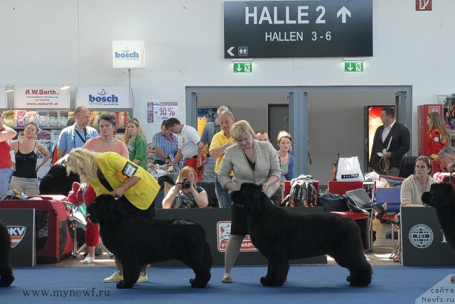 Фотография № 98159