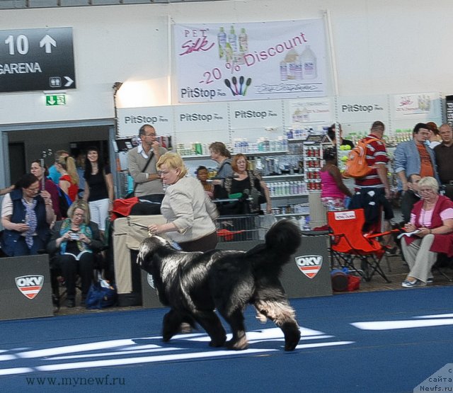 Фотография № 98160